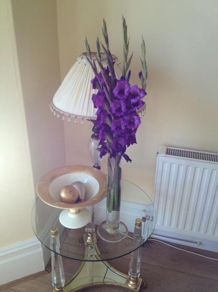 Number27Harrogate Bed and Breakfast Zewnętrze zdjęcie
